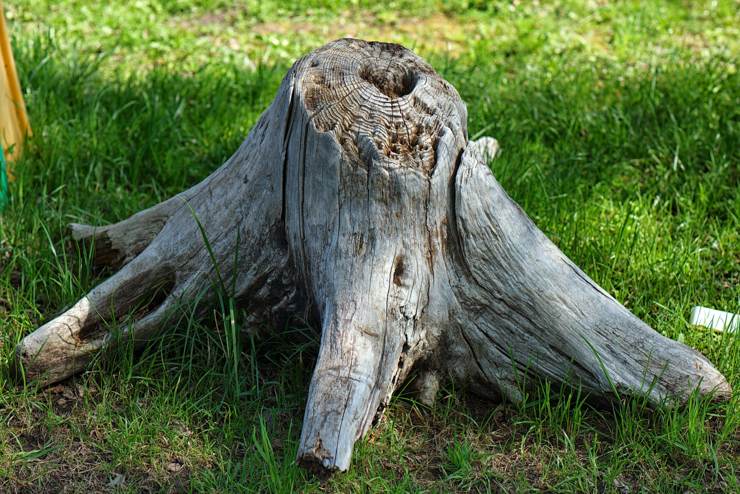 2016.Eco hotel Vetochka